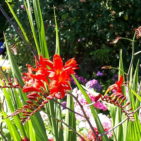 Komfort 4 Sterne 