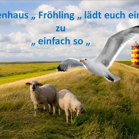 Komfort 4 Sterne 