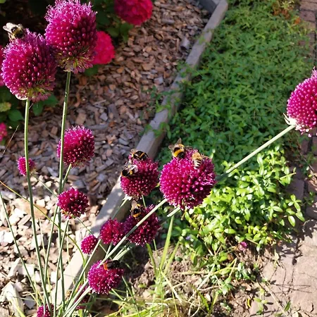 Appartement Komfort 4 Sterne 